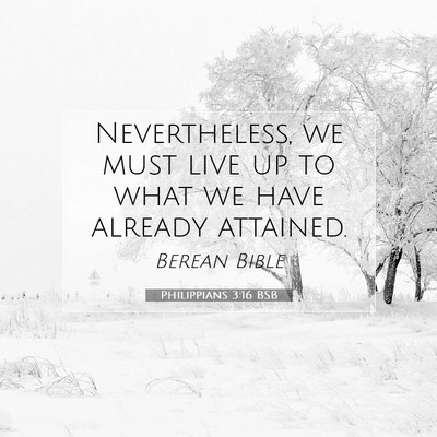 Picture 07 - Philippians 3:16 BSB - Nevertheless, we must live up to what we have - Bible Verse Picture