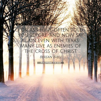 Picture 07 - Philippians 3:18 BSB - For as I have often told you before, and now say - Bible Verse Picture