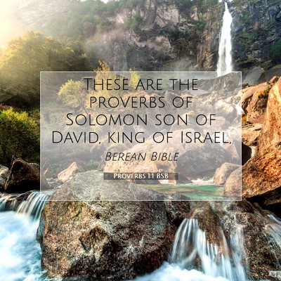 Picture 07 - Proverbs 1:1 BSB - These are the proverbs of Solomon son of David, - Bible Verse Picture