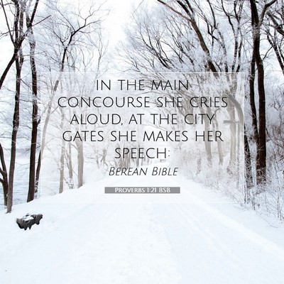 Picture 07 - Proverbs 1:21 BSB - in the main concourse she cries aloud, at the - Bible Verse Picture