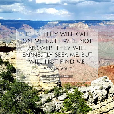 Picture 07 - Proverbs 1:28 BSB - Then they will call on me, but I will not answer; - Bible Verse Picture