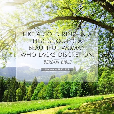 Picture 07 - Proverbs 11:22 BSB - Like a gold ring in a pig’s snout is a - Bible Verse Picture
