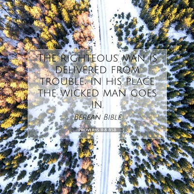 Picture 07 - Proverbs 11:8 BSB - The righteous man is delivered from trouble; in - Bible Verse Picture