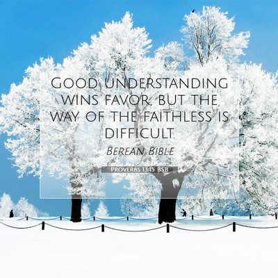 Picture 07 - Proverbs 13:15 BSB - Good understanding wins favor, but the way of the - Bible Verse Picture