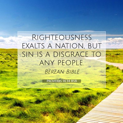 Picture 07 - Proverbs 14:34 BSB - Righteousness exalts a nation, but sin is a - Bible Verse Picture