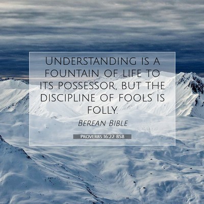 Picture 07 - Proverbs 16:22 BSB - Understanding is a fountain of life to its - Bible Verse Picture