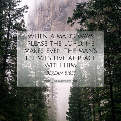 Picture 07 - Proverbs 16:7 BSB - When a man’s ways please the LORD, He makes - Bible Verse Picture