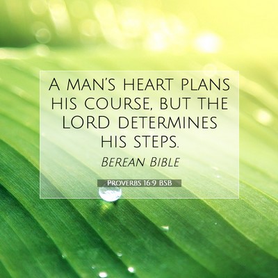 Picture 07 - Proverbs 16:9 BSB - A man’s heart plans his course, but the LORD - Bible Verse Picture