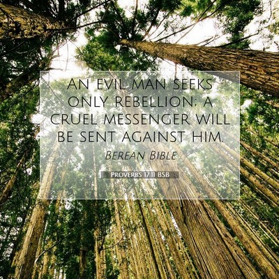 Picture 07 - Proverbs 17:11 BSB - An evil man seeks only rebellion; a cruel - Bible Verse Picture