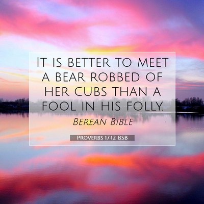Picture 07 - Proverbs 17:12 BSB - It is better to meet a bear robbed of her cubs - Bible Verse Picture