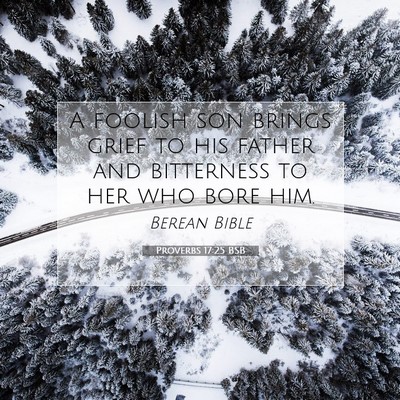 Picture 07 - Proverbs 17:25 BSB - A foolish son brings grief to his father and - Bible Verse Picture