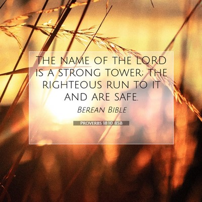 Picture 07 - Proverbs 18:10 BSB - The name of the LORD is a strong tower; the - Bible Verse Picture