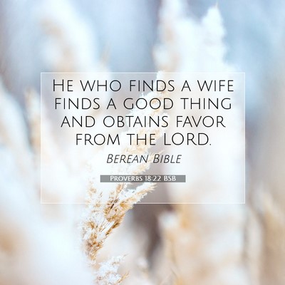 Picture 07 - Proverbs 18:22 BSB - He who finds a wife finds a good thing and - Bible Verse Picture