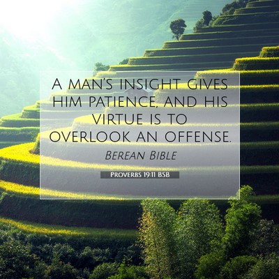 Picture 07 - Proverbs 19:11 BSB - A man’s insight gives him patience, and his - Bible Verse Picture