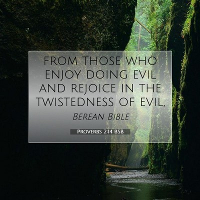 Picture 07 - Proverbs 2:14 BSB - from those who enjoy doing evil and rejoice in - Bible Verse Picture