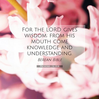 Picture 07 - Proverbs 2:6 BSB - For the LORD gives wisdom; from His mouth come - Bible Verse Picture