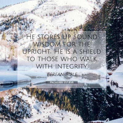 Picture 07 - Proverbs 2:7 BSB - He stores up sound wisdom for the upright; He is - Bible Verse Picture