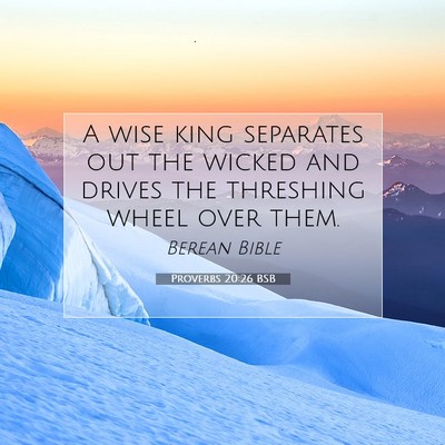 Picture 07 - Proverbs 20:26 BSB - A wise king separates out the wicked and drives - Bible Verse Picture