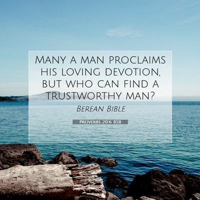 Picture 07 - Proverbs 20:6 BSB - Many a man proclaims his loving devotion, but who - Bible Verse Picture