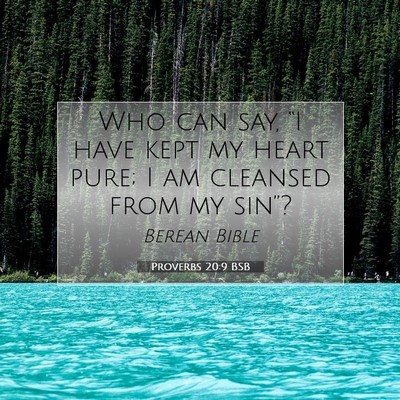 Picture 07 - Proverbs 20:9 BSB - Who can say, “I have kept my heart pure; I am - Bible Verse Picture