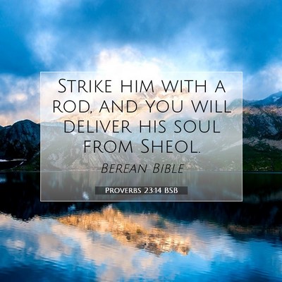Picture 07 - Proverbs 23:14 BSB - Strike him with a rod, and you will deliver his - Bible Verse Picture