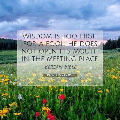 Picture 07 - Proverbs 24:7 BSB - Wisdom is too high for a fool; he does not open - Bible Verse Picture