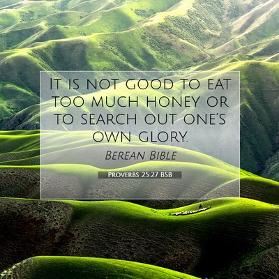 Picture 07 - Proverbs 25:27 BSB - It is not good to eat too much honey or to search - Bible Verse Picture