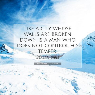 Picture 07 - Proverbs 25:28 BSB - Like a city whose walls are broken down is a man - Bible Verse Picture