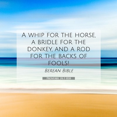 Picture 07 - Proverbs 26:3 BSB - A whip for the horse, a bridle for the donkey, - Bible Verse Picture