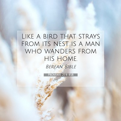 Picture 07 - Proverbs 27:8 BSB - Like a bird that strays from its nest is a man - Bible Verse Picture