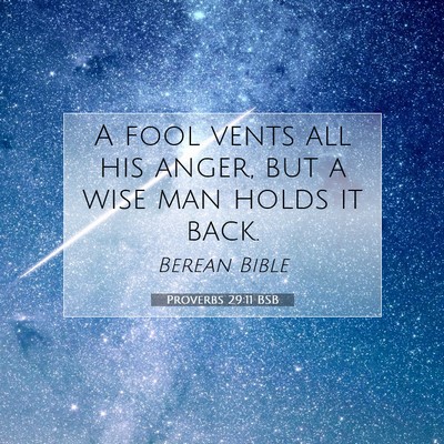 Picture 07 - Proverbs 29:11 BSB - A fool vents all his anger, but a wise man holds - Bible Verse Picture