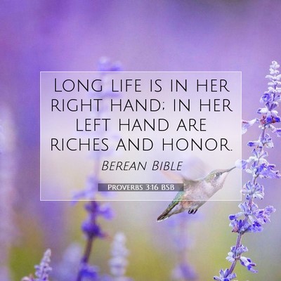 Picture 07 - Proverbs 3:16 BSB - Long life is in her right hand; in her left hand - Bible Verse Picture