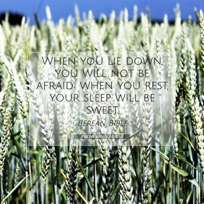 Picture 07 - Proverbs 3:24 BSB - When you lie down, you will not be afraid; when - Bible Verse Picture