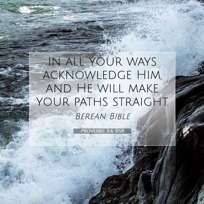 Picture 07 - Proverbs 3:6 BSB - in all your ways acknowledge Him, and He will - Bible Verse Picture