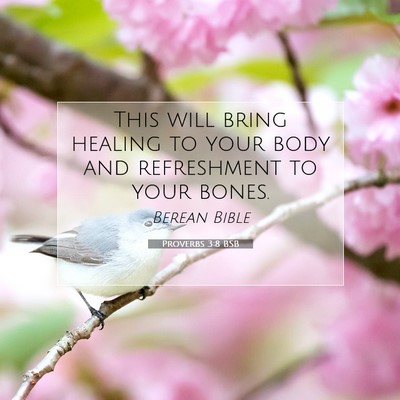Picture 07 - Proverbs 3:8 BSB - This will bring healing to your body and - Bible Verse Picture