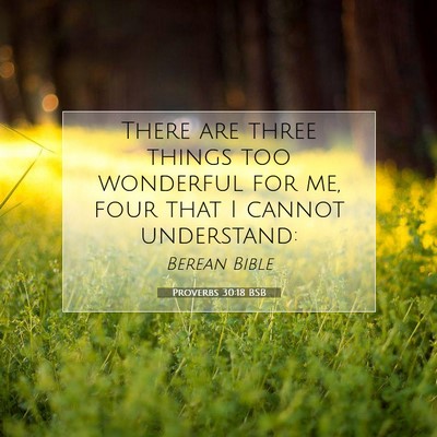 Picture 07 - Proverbs 30:18 BSB - There are three things too wonderful for me, four - Bible Verse Picture