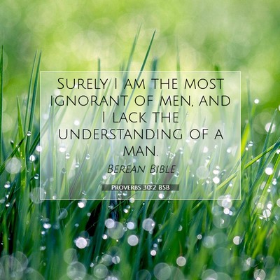 Picture 07 - Proverbs 30:2 BSB - Surely I am the most ignorant of men, and I lack - Bible Verse Picture