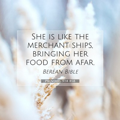 Picture 07 - Proverbs 31:14 BSB - She is like the merchant ships, bringing her food - Bible Verse Picture