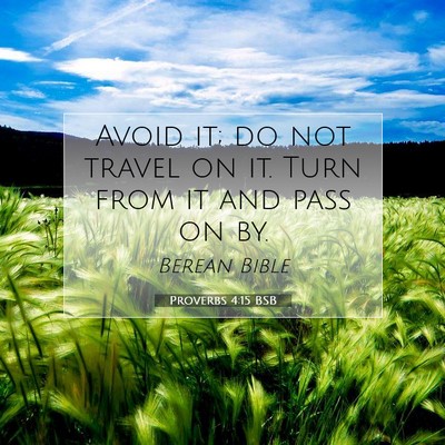 Picture 07 - Proverbs 4:15 BSB - Avoid it; do not travel on it. Turn from it and - Bible Verse Picture
