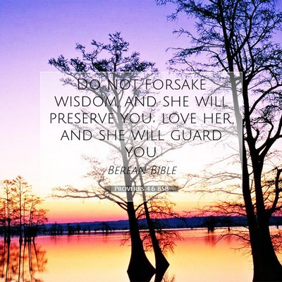 Picture 07 - Proverbs 4:6 BSB - Do not forsake wisdom, and she will preserve you; - Bible Verse Picture