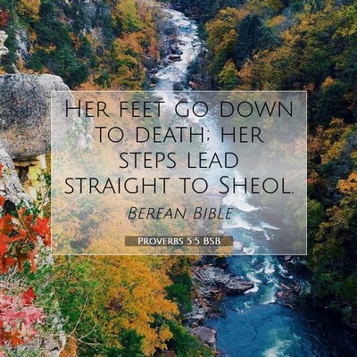Picture 07 - Proverbs 5:5 BSB - Her feet go down to death; her steps lead - Bible Verse Picture
