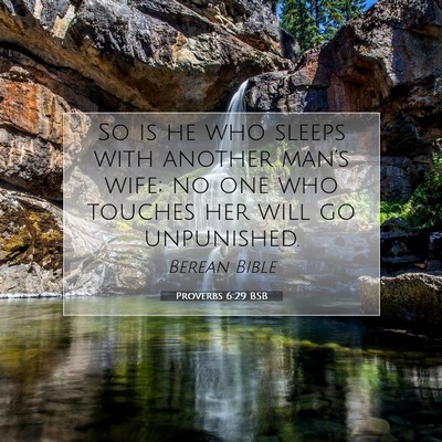 Picture 07 - Proverbs 6:29 BSB - So is he who sleeps with another man’s wife; no - Bible Verse Picture