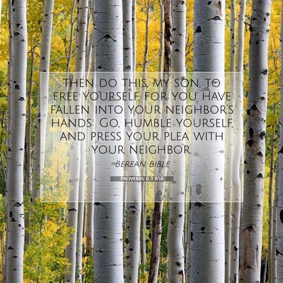 Picture 07 - Proverbs 6:3 BSB - then do this, my son, to free yourself, for you - Bible Verse Picture