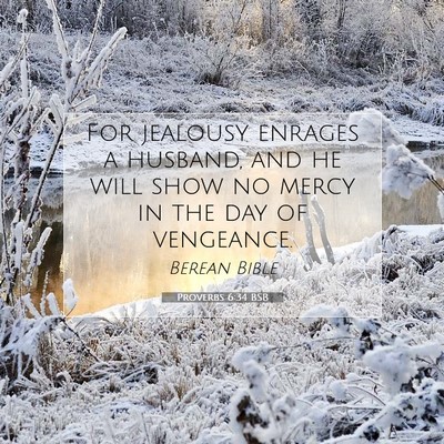 Picture 07 - Proverbs 6:34 BSB - For jealousy enrages a husband, and he will show - Bible Verse Picture