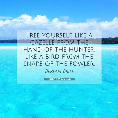 Picture 07 - Proverbs 6:5 BSB - Free yourself, like a gazelle from the hand of - Bible Verse Picture