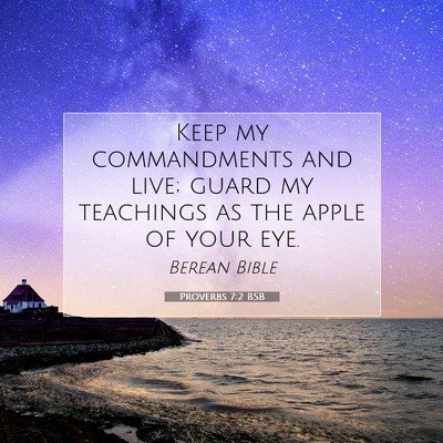 Picture 07 - Proverbs 7:2 BSB - Keep my commandments and live; guard my teachings - Bible Verse Picture