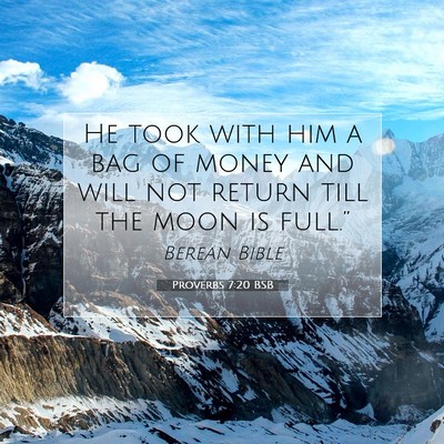 Picture 07 - Proverbs 7:20 BSB - He took with him a bag of money and will not - Bible Verse Picture