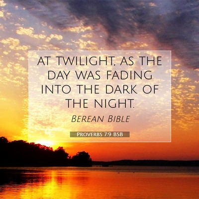 Picture 07 - Proverbs 7:9 BSB - at twilight, as the day was fading into the dark - Bible Verse Picture
