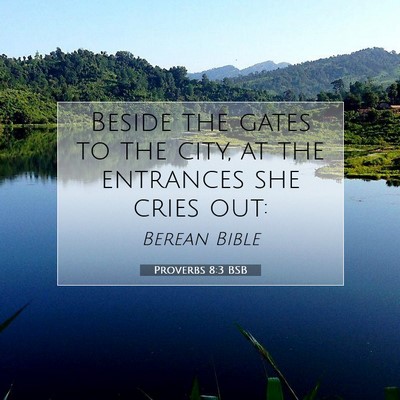Picture 07 - Proverbs 8:3 BSB - Beside the gates to the city, at the entrances - Bible Verse Picture