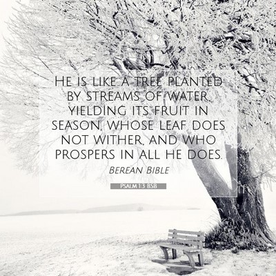 Picture 07 - Psalm 1:3 BSB - He is like a tree planted by streams of water, - Bible Verse Picture